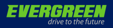 Evergreen - Order Tyres Online from Tyre Station Leeds